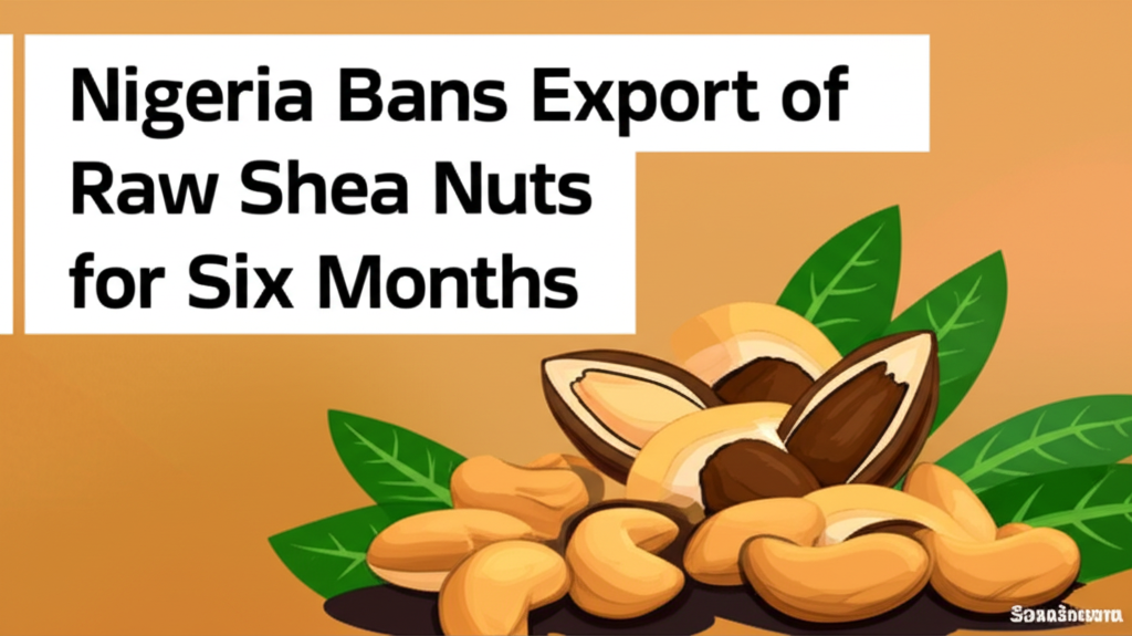 Nigeria Bans Export of Raw Shea Nuts for Six Months