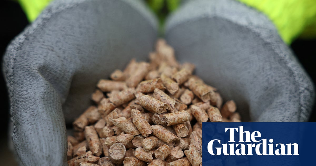UK Watchdog Investigates Drax Over Biomass Sourcing Statements