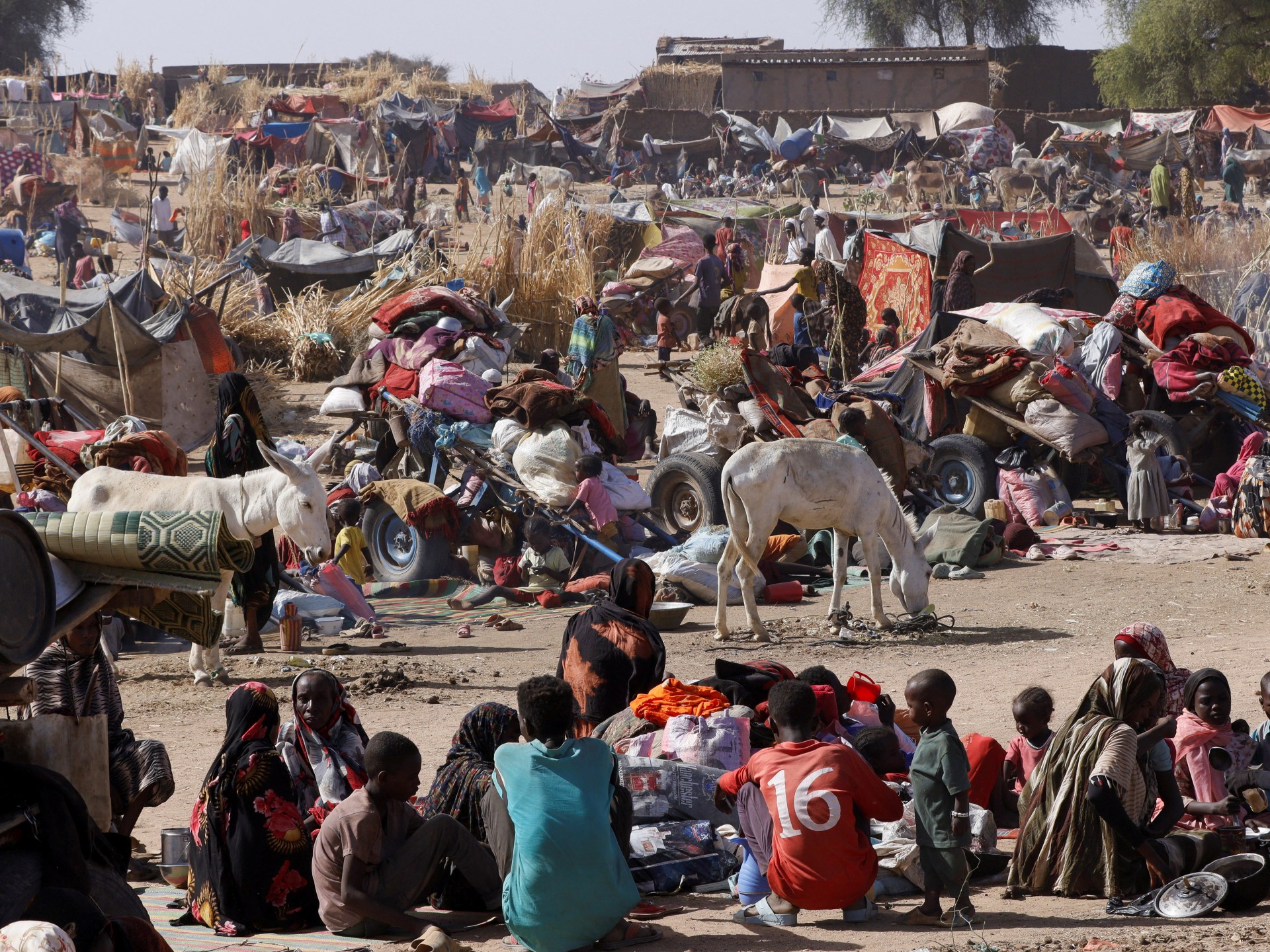 At Least 24 Killed in RSF Attack on Sudan's El Fasher