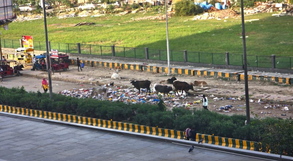 Ivy County Residents Confront Noida Authority as Health Crisis Deepens from Illegal Garbage Dump Despite Repeated Complaints