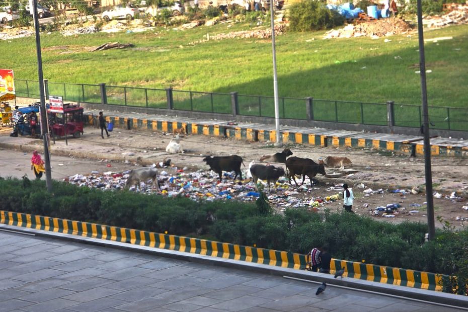 Noida Authority
