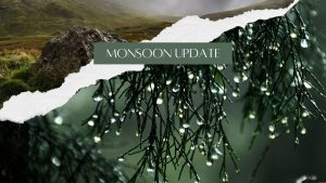 Monsoon Update