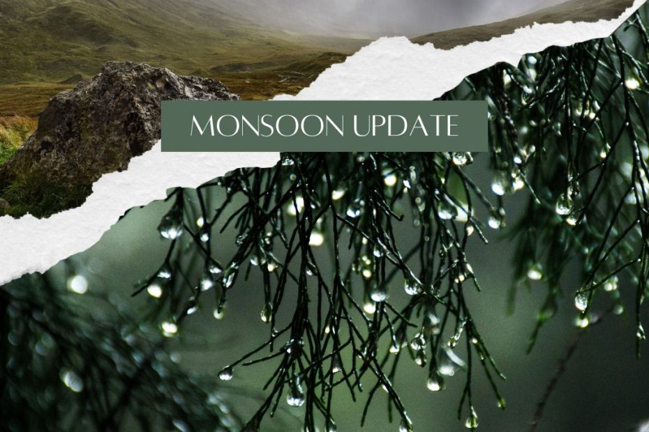 Monsoon Update